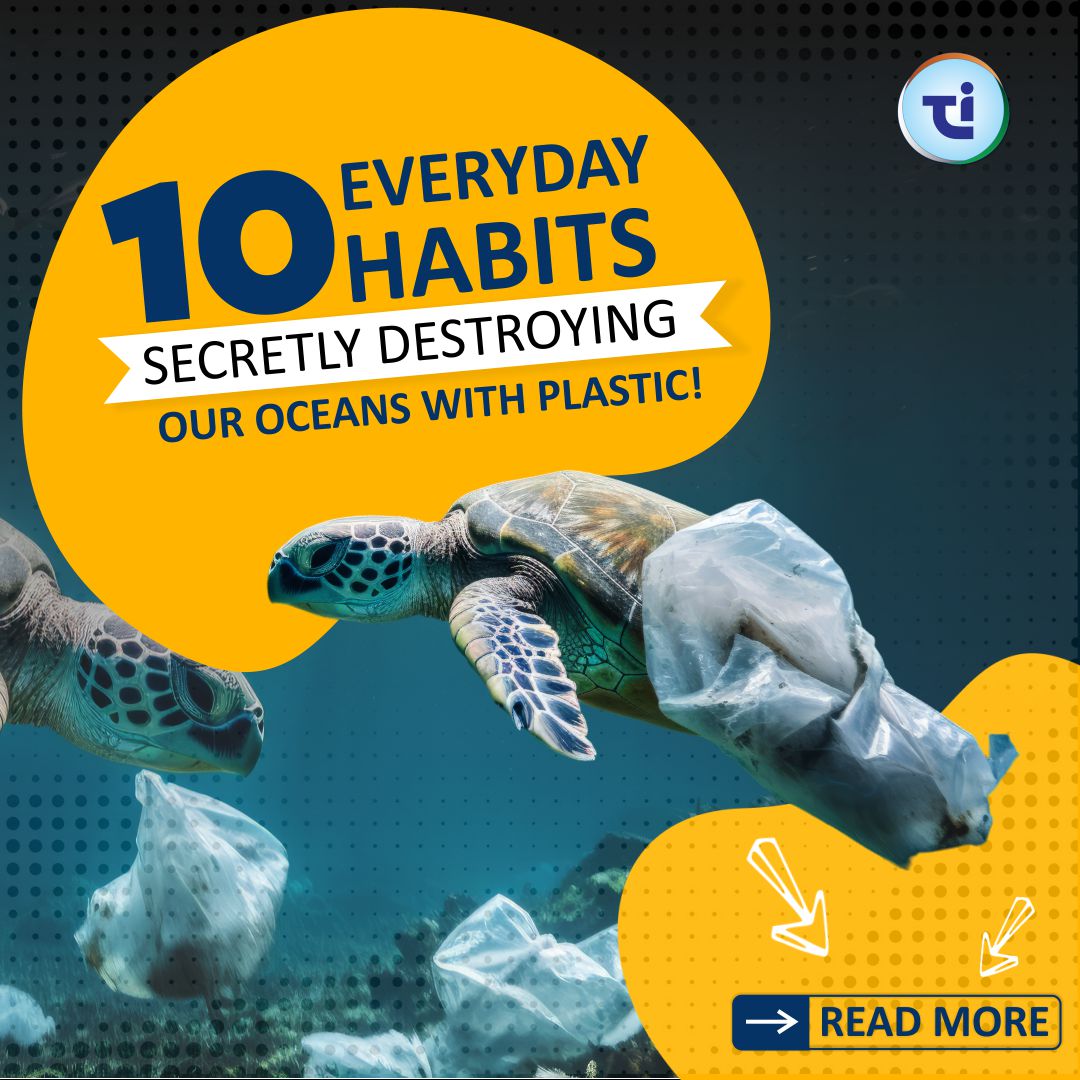 10 Everyday Habits Secretly Destroying Our Oceans With Plastic